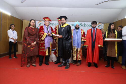 Degree Distribution at Convocation 2020